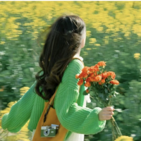 蓝灯VPN加速器的iOS版VPN用户shiya对蓝灯VPN加速器的iOS版VPN感到非常满意。